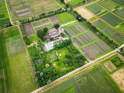 Luchtfoto van een boerderij met aangrenzende akkers en percelen in groene en bruine tinten.